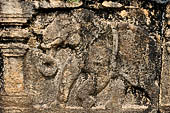 Polonnaruwa - the Citadel, the Council Chamber. Friezes of the platform with dwarfs, lions and galumphing elephants.