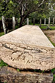 Polonnaruwa - The Quadrangle. The Gal Pota (Book of Stone).