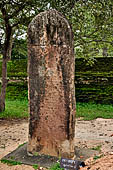 Polonnaruwa - Rankot Vihara. 