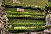 Polonnaruwa - Rankot Vihara. 