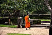 Polonnaruwa - The area of the Alahana Pirivena (Monastery of the Cremation Grounds). 