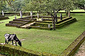 Polonnaruwa - The area of the Alahana Pirivena (Monastery of the Cremation Grounds). 