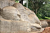 Polonnaruwa - Gal Vihara. The 14m long reclining Buddha in paranirvana mudra, on the top of the head, the ushnisha, the small protuberance denoting the Buddha superior mental powers 