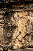 Polonnaruwa - the Citadel, the Council Chamber. Friezes of the platform with galumphing elephants. 