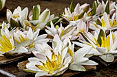 Kandy - The Sacred Tooth Relic Temple, flowers offered by the pilgrims.