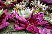 Kandy - The Sacred Tooth Relic Temple, flowers offered by the pilgrims.