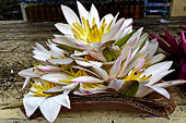 Kandy - The Sacred Tooth Relic Temple, flowers offered by the pilgrims.