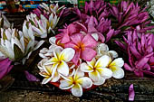 Kandy - The Sacred Tooth Relic Temple, frangipani flowers offered by the pilgrims.