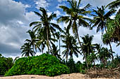 Beach of Tangalle