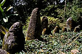 Hike up to Batutumonga north of Rantepao - menhirs on ceremonial ground.