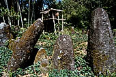 Hike up to Batutumonga north of Rantepao - menhirs on ceremonial ground.