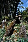 Hike up to Batutumonga north of Rantepao - menhirs on ceremonial ground.