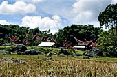 Hike up to Batutumonga north of Rantepao - tongkonan traditional village