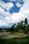 Hike up to Batutumonga north of Rantepao - rice terraces