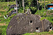 Hike up to Batutumonga north of Rantepao - cave graves hewn into stone boulders