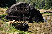 Hike up to Batutumonga north of Rantepao - cave graves hewn into stone boulders