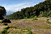 Hike up to Batutumonga north of Rantepao - rice terraces