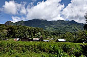 Hike up to Batutumonga north of Rantepao - tongkonan village