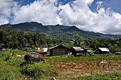 Hike up to Batutumonga north of Rantepao - tongkonan village