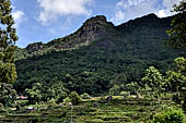 Hike up to Batutumonga north of Rantepao - mountain ridge