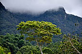 Hike up to Batutumonga north of Rantepao - mountain ridge