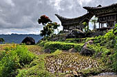 Hike up to Batutumonga north of Rantepao - tongkonan traditional village