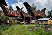 Hike up to Batutumonga north of Rantepao - tongkonan traditional village