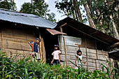 Hike up to Batutumonga north of Rantepao - traditional village