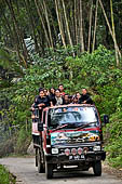 Hike up to Batutumonga north of Rantepao - farmers at work on rice terraces