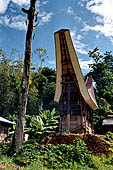 Bori Parinding villages - Traditional tongkonan house.