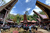 Bori Parinding villages - Traditional toraja funeral ceremony. 