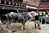 Bori Parinding villages - Traditional toraja funeral ceremony. 