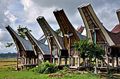 Bori Parinding villages - Traditional tongkonan house.