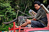 Bori Parinding villages - Traditional toraja funeral ceremony. 