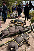 Bori Parinding villages - Traditional toraja funeral ceremony.