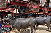 Bori Parinding villages - Traditional toraja funeral ceremony.