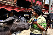 Bori Parinding villages - Traditional toraja funeral ceremony.