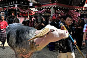 Bori Parinding villages - Traditional toraja funeral ceremony.