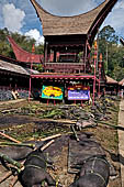 Bori Parinding villages - Traditional toraja funeral ceremony.