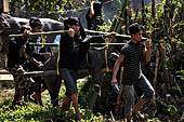 Bori Parinding villages - Traditional toraja funeral ceremony. 