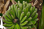 Bori Parinding villages - banana basket