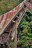 Bori Parinding villages - Traditional tongkonan house.