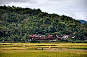 Bori Parinding villages - rice fields