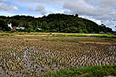 Bori Parinding villages - rice fields