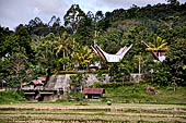 Bori Parinding villages - Traditional tongkonan village