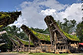 Ke'te Kesu - Traditional tongkonan house.