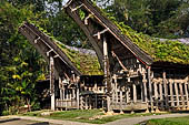 Ke'te Kesu - Traditional tongkonan house.