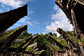 Ke'te Kesu - Traditional tongkonan house.