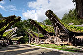 Ke'te Kesu - Traditional tongkonan house.