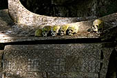 Ke'te Kesu - burial places, coffins full of bones and skulls lie rotting in piles